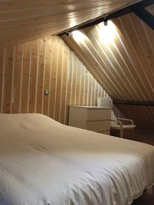 Studio 30M2 Centre De Cusset Eksteriør billede